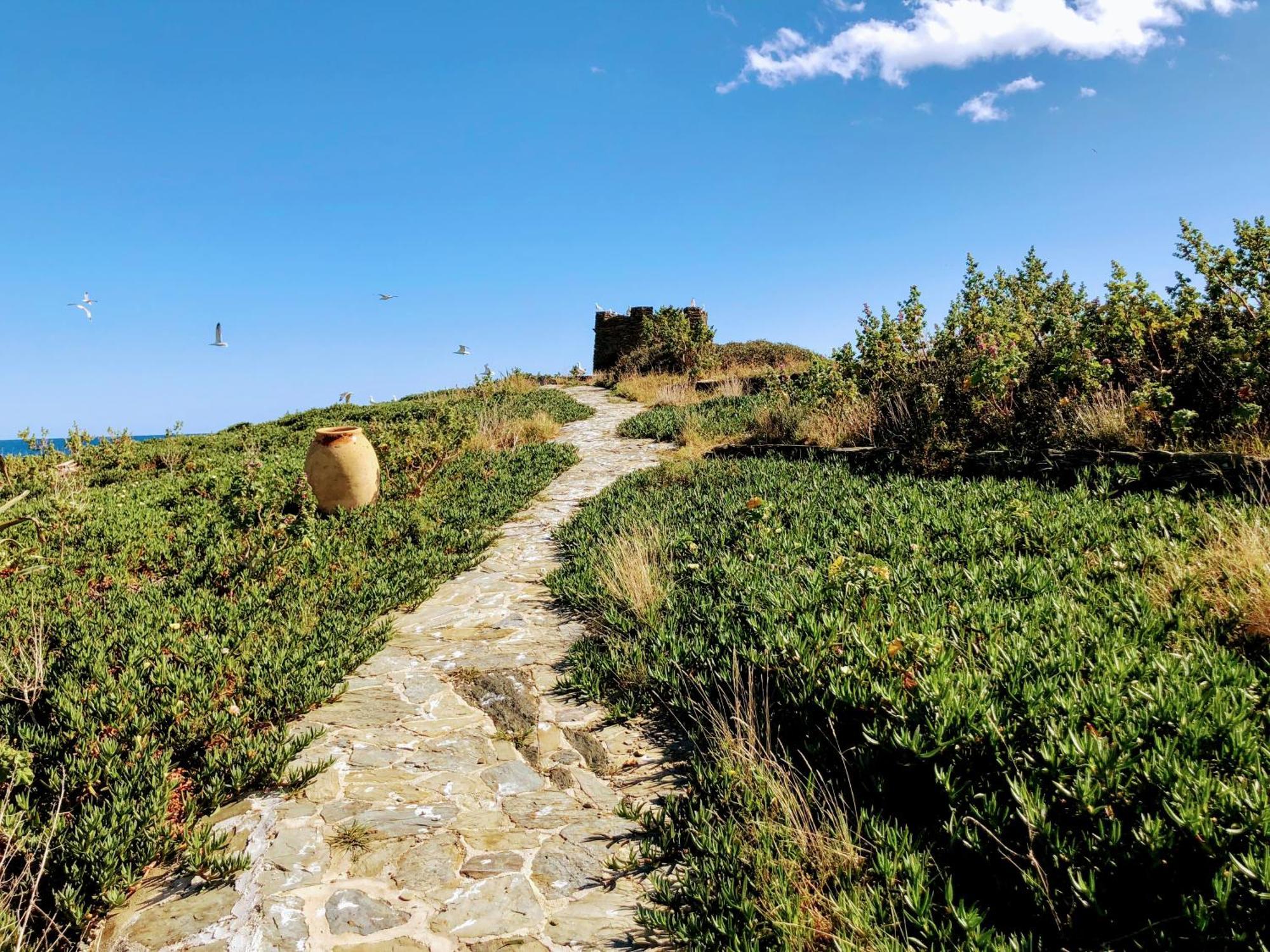 Isla Privada en Cadaqués de ensueño con 11 habitaciones dobles con baño privado y piscina Exterior foto