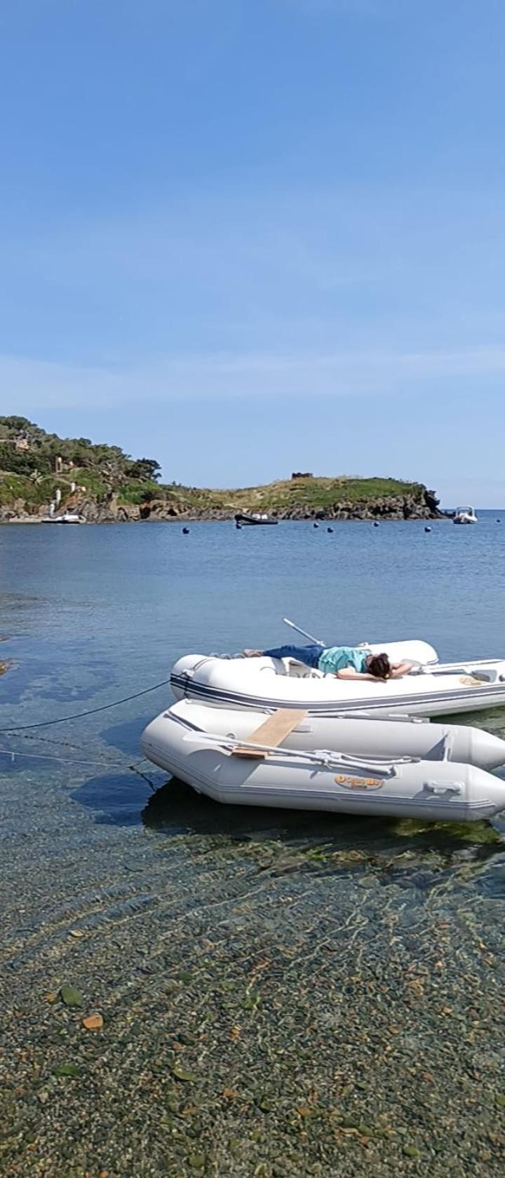 Isla Privada en Cadaqués de ensueño con 11 habitaciones dobles con baño privado y piscina Exterior foto