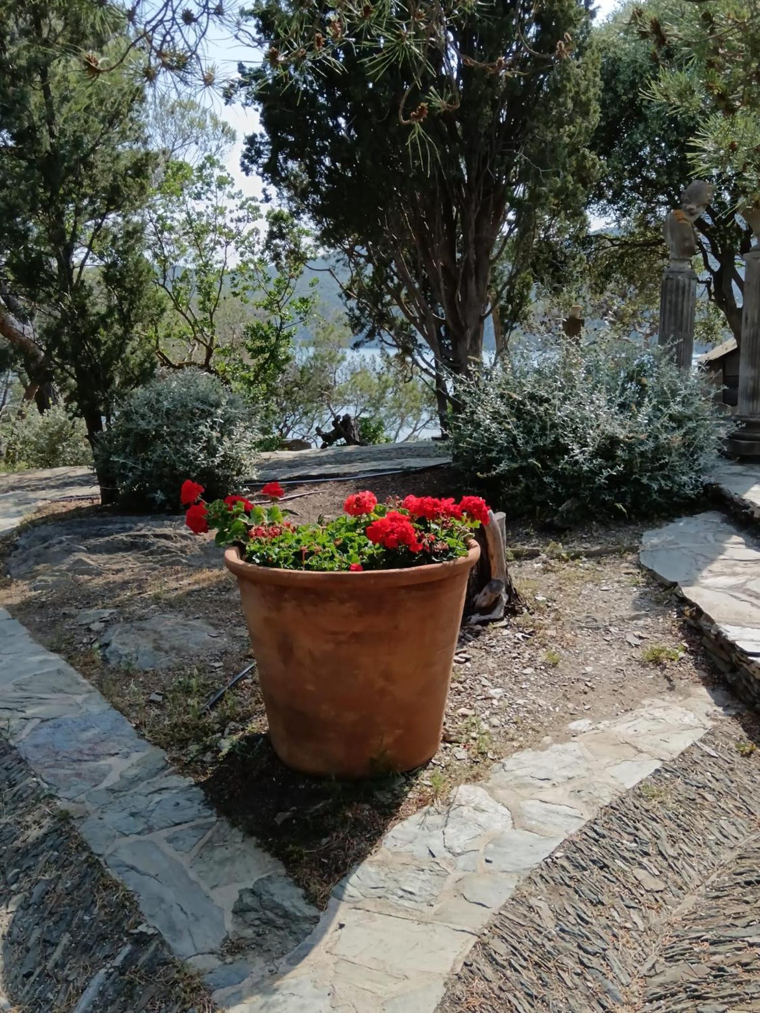 Isla Privada en Cadaqués de ensueño con 11 habitaciones dobles con baño privado y piscina Exterior foto