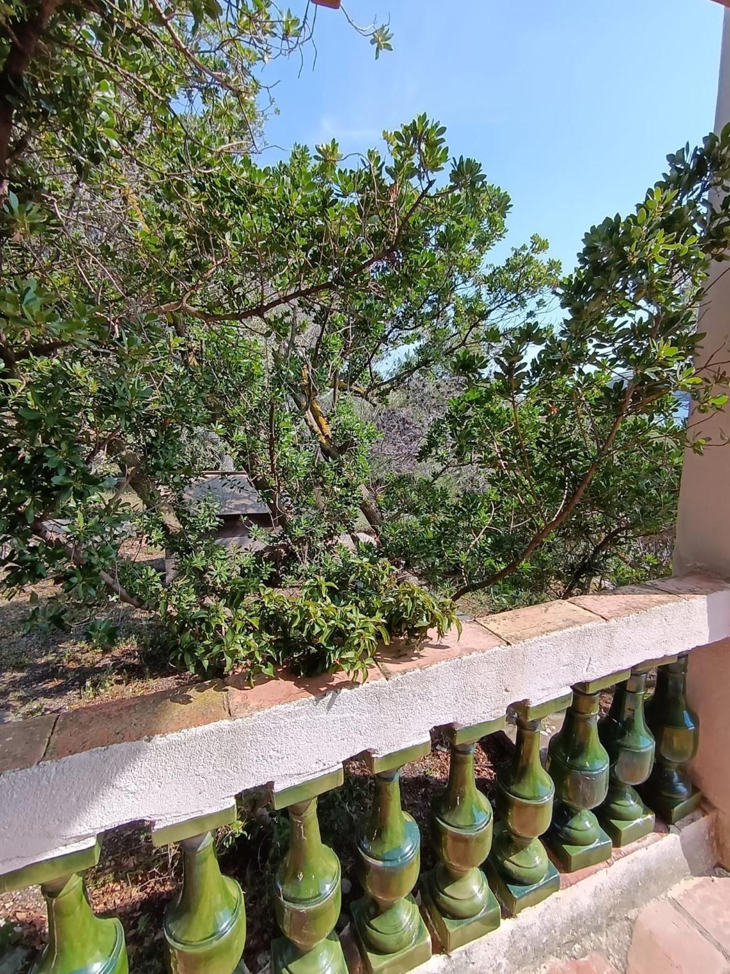 Isla Privada en Cadaqués de ensueño con 11 habitaciones dobles con baño privado y piscina Exterior foto